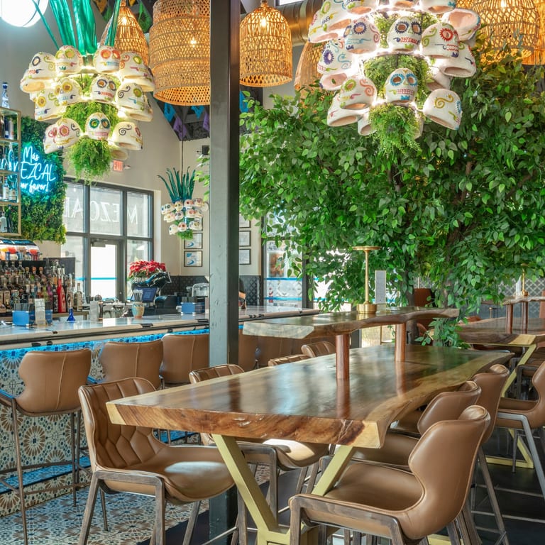 Fast-Casual Dining Made Comfortable